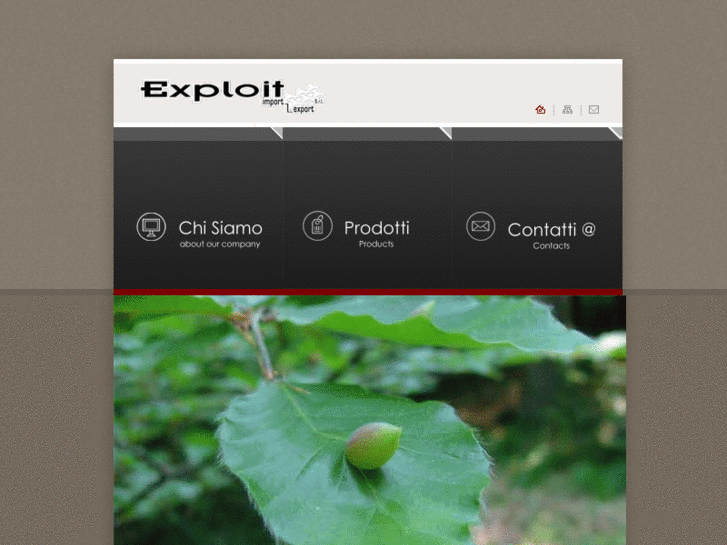 www.exploitsrl.com