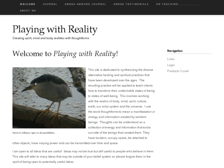 www.playingwithreality.net