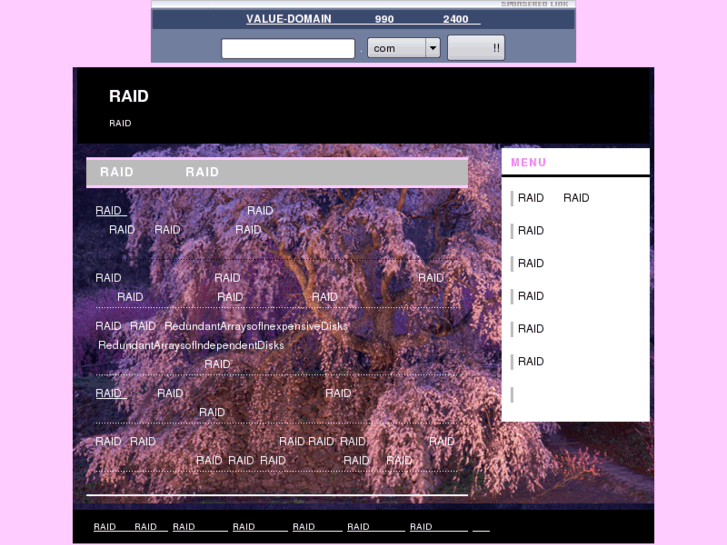www.raid-restore-good.net