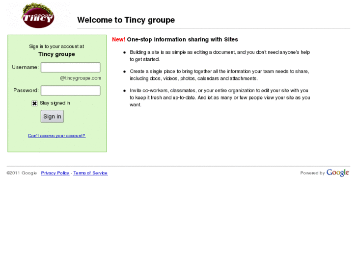 www.tincygroupe.com
