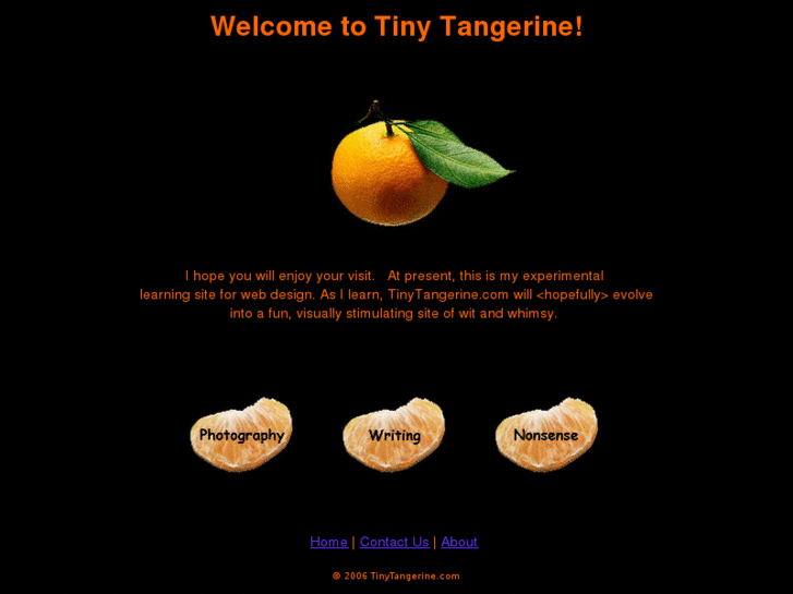 www.tinytangerine.com