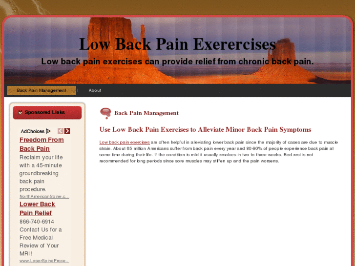 www.lowbackpainexercises.net