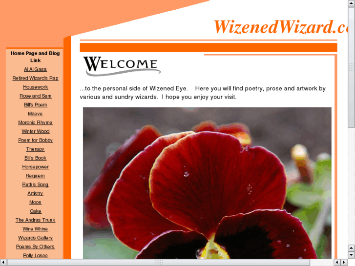 www.wizenedwizard.com