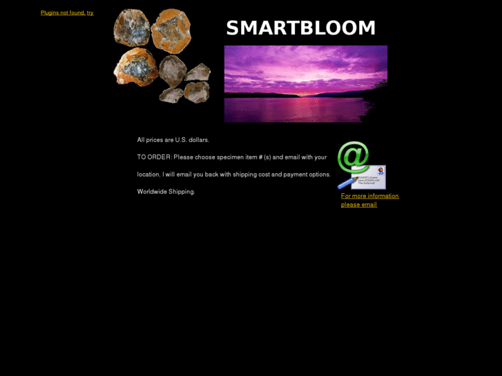 www.smartbloom.net