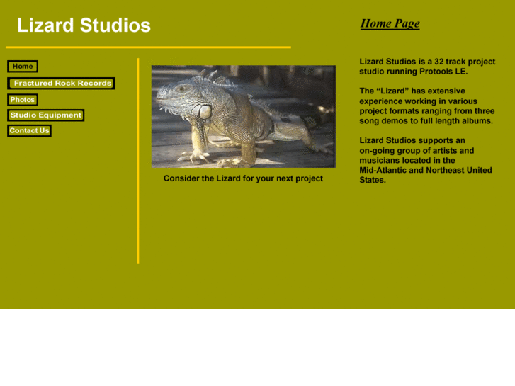 www.lizardstudios.net