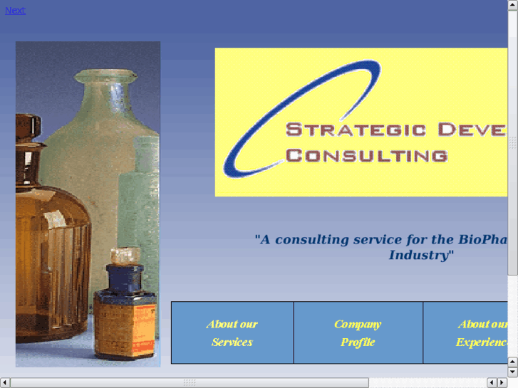 www.strategicdevelopmentconsulting.com