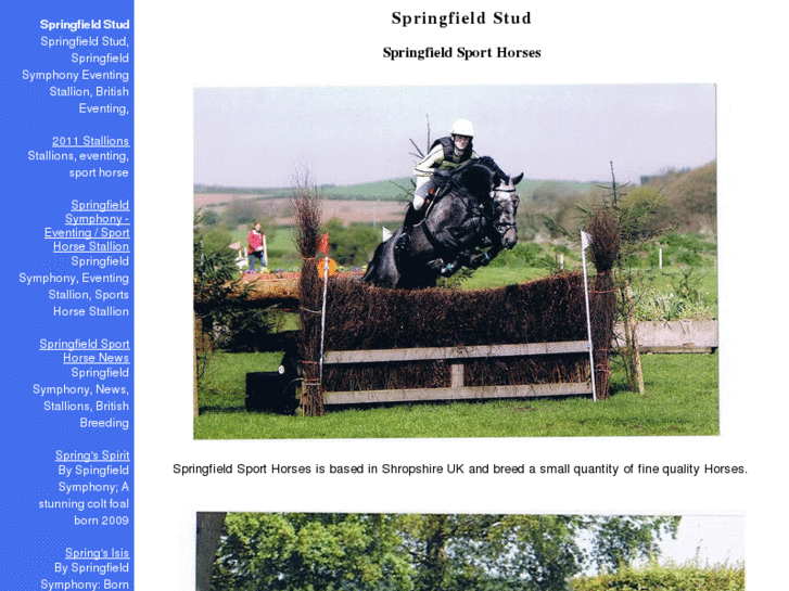 www.springfieldstud.net
