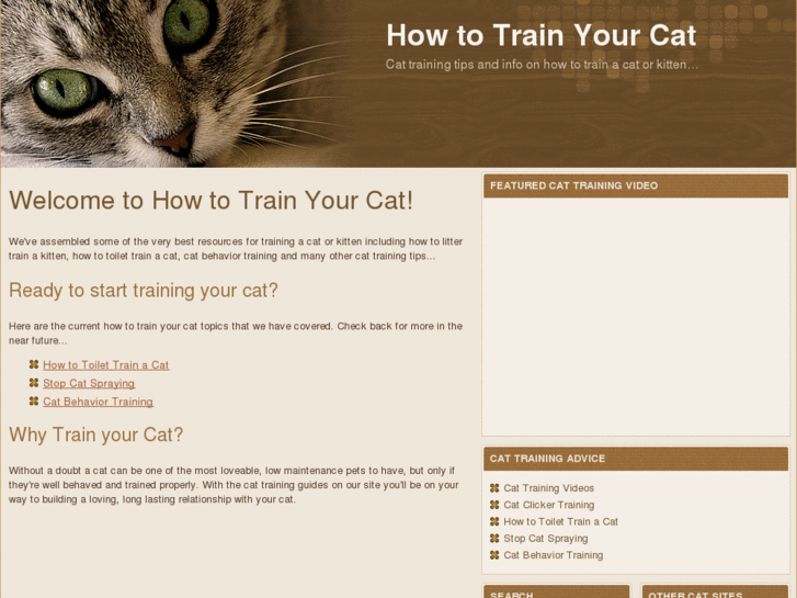 www.howtotrainyourcat.com