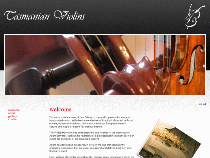 www.firebirdviolins.com