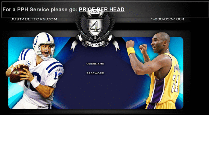 www.processingcc.com