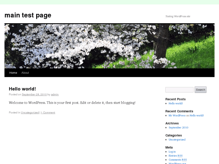 www.swfmarketplace.com
