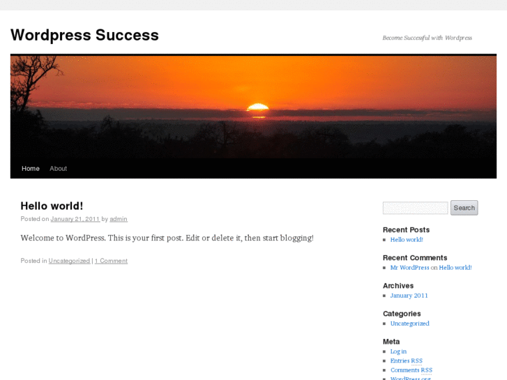 www.wordpress-success.com