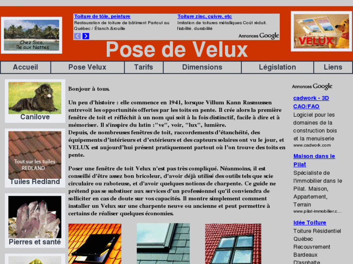 www.pose-fenetre-toit.net