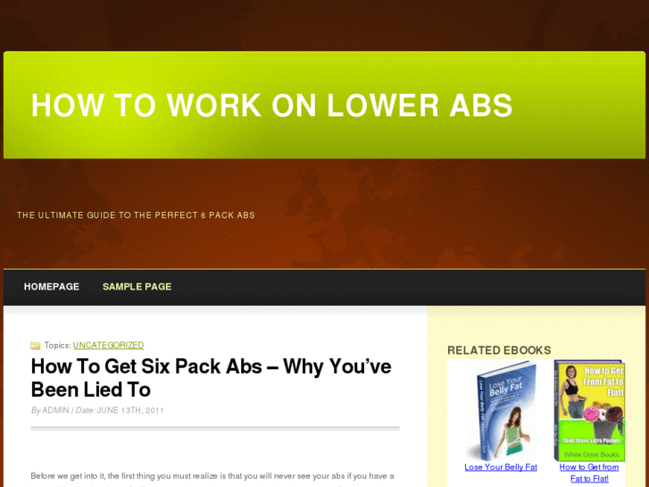 www.howtoworkonlowerabs.com
