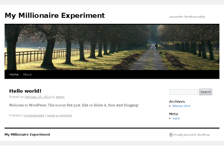 www.mymillionaireexperiment.com