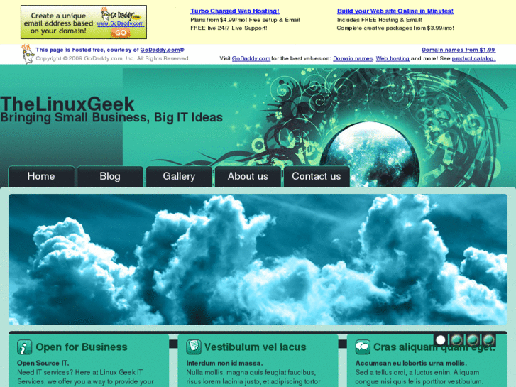 www.thelinuxgeek.info