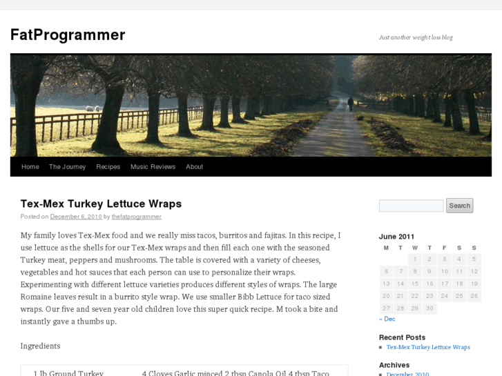 www.fatprogrammer.com