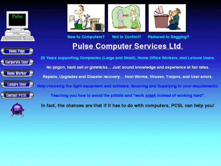 www.pulse-computer-services.com