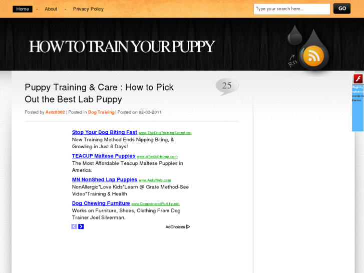 www.howtotrainyourpuppysite.info