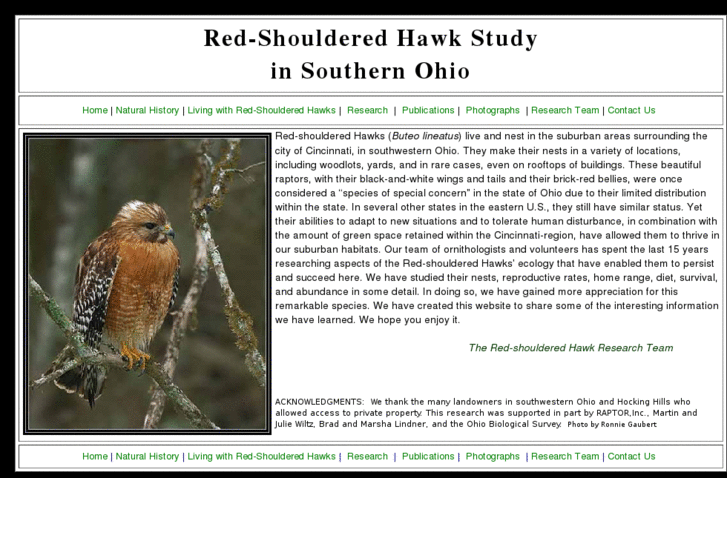 www.redshoulderedhawkstudy.com