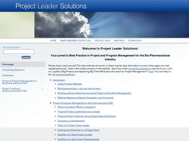 www.programlleadersolutions.com