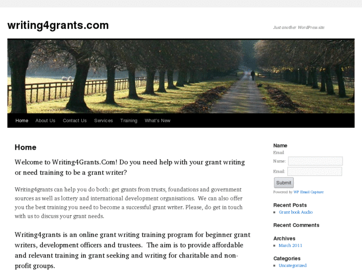 www.writing4grants.com