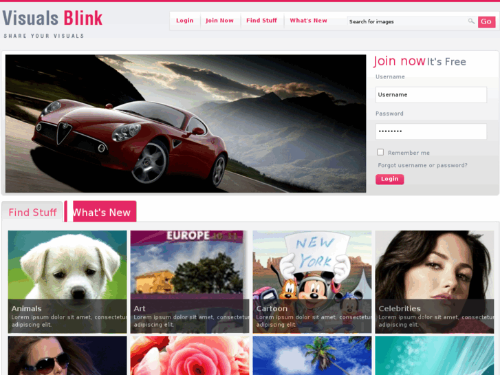 www.visualsblink.com