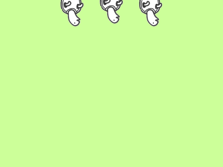 www.turtleturtleturtle.com