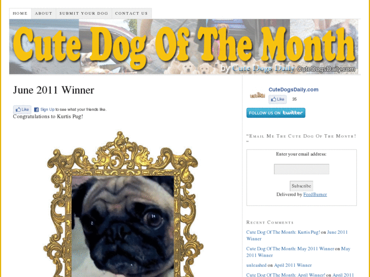 www.cutedogofthemonth.com