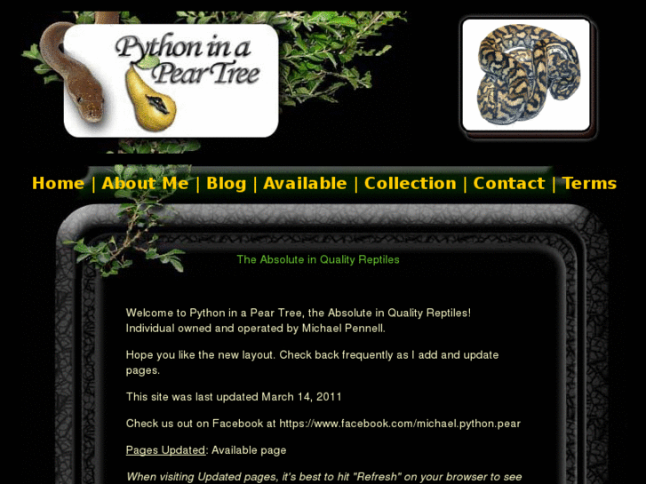 www.pythoninapeartree.com