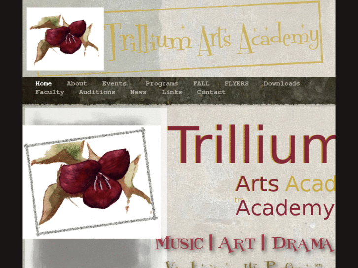 www.trilliumartsacademy.com
