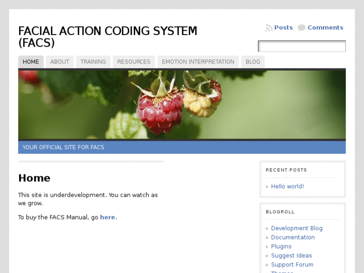 www.facialactioncodingsystem.org