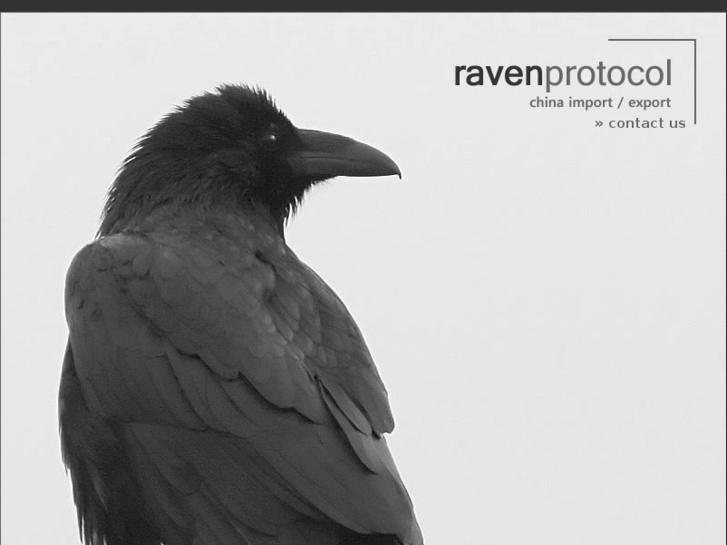 www.ravenprotocol.com