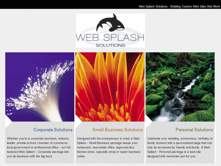 www.websplashsolutions.com