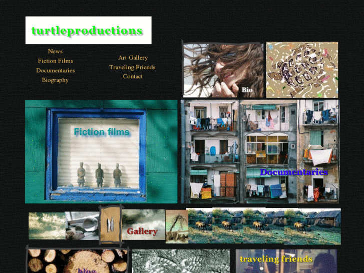 www.turtleproductions.org