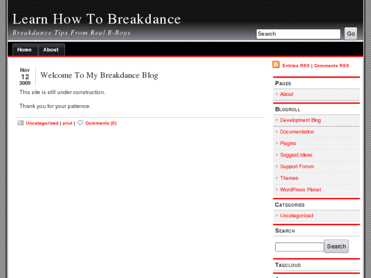www.learnhowtobreakdance.net