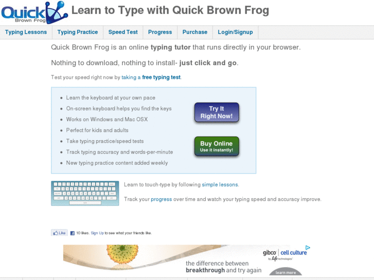 www.quickbrownfrog.com