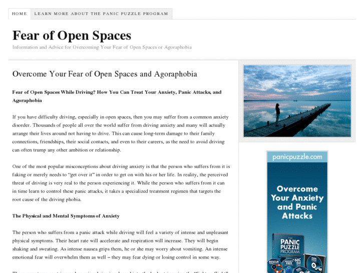 www.fearofopenspaces.com