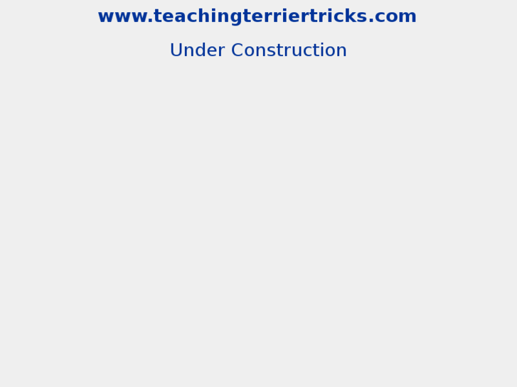 www.teachingterriertricks.com