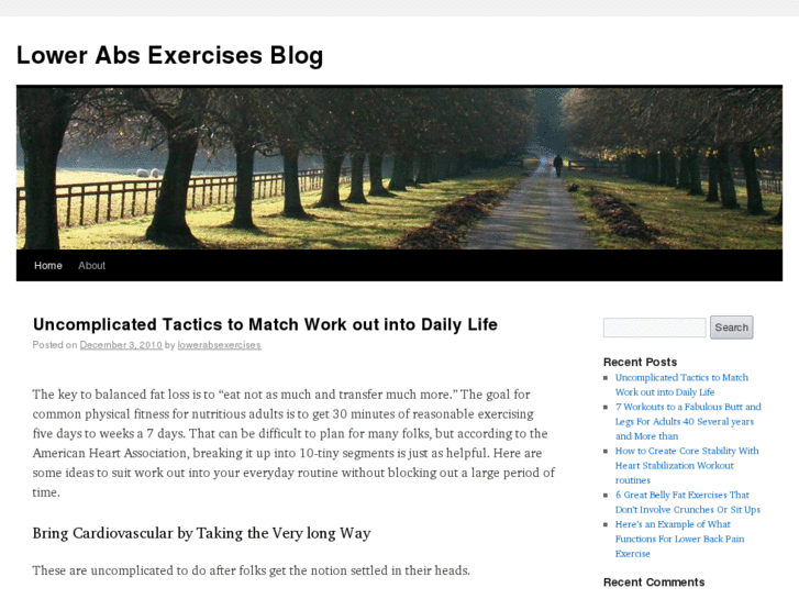 www.lower-abs-exercises-blog.info