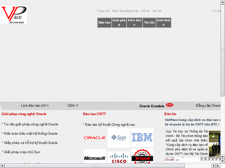 www.vietpace-academy.com