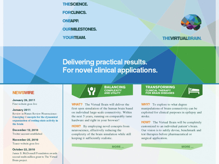 www.the-virtual-brain.org