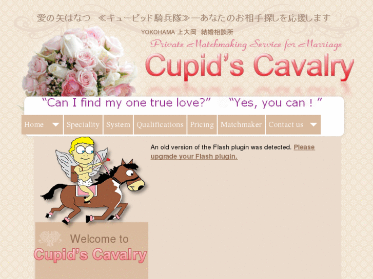 www.cupidscavalry.com