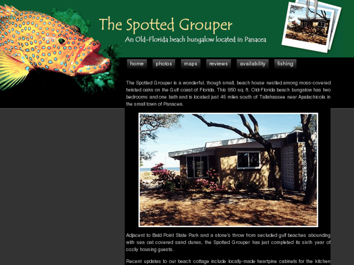 www.spottedgrouper.info