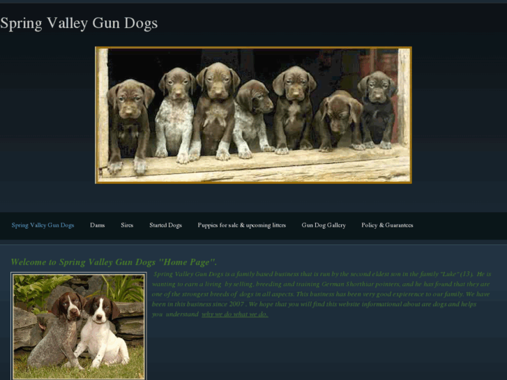www.springvalleygundogs.com