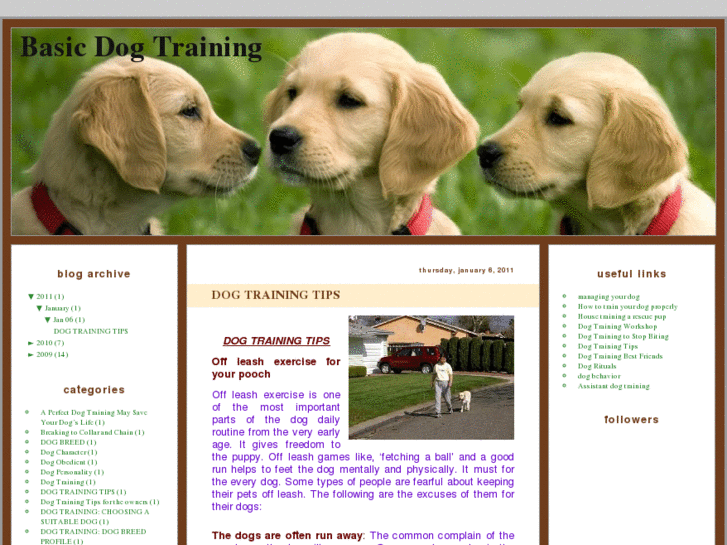 www.thedogtraining.com