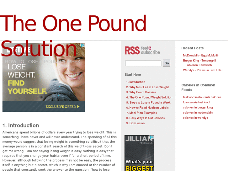 www.onepoundsolution.com