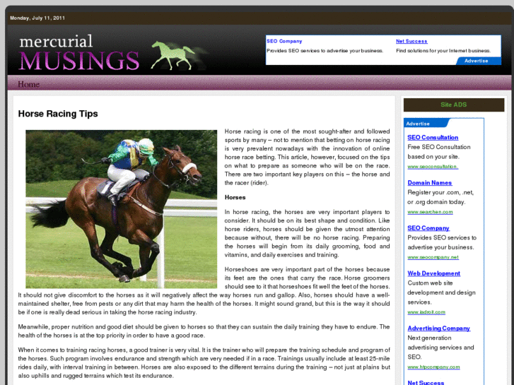 www.mercurialmusings.com
