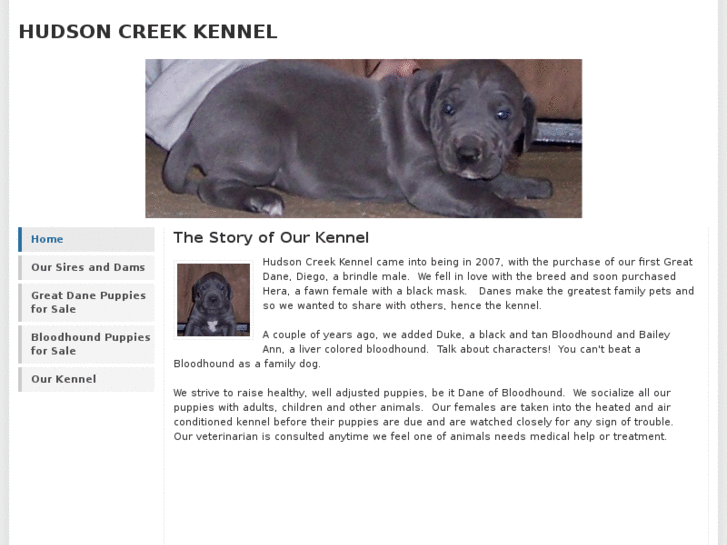 www.hudsoncreekkennel.net