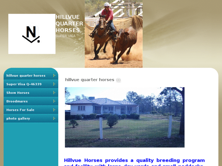 www.hillvuehorses.com